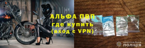 прущие грибы Верхний Тагил