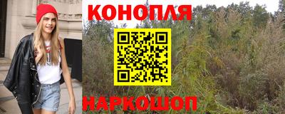 прущие грибы Балаково