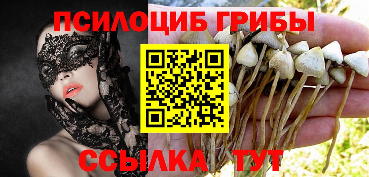 Псилоцибиновые грибы мицелий Уфа