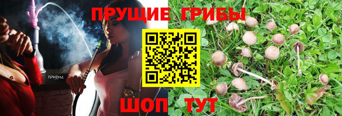 Галлюциногенные грибы прущие грибы Уфа