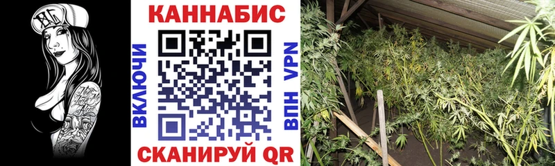 Каннабис Amnesia Уфа